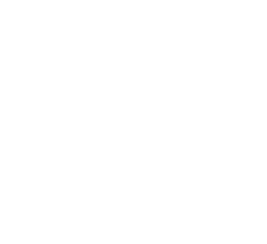 liebherr